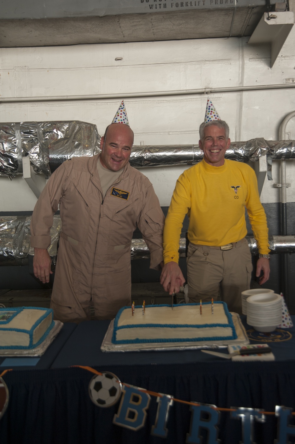 USS Carl Vinson CO, EO celebrate birthdays