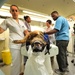 Military working dog medicine