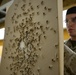 Marine Forces Europe and Africa Pistol Qualification