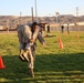 Barstow Marines take the Combat Fitness Test