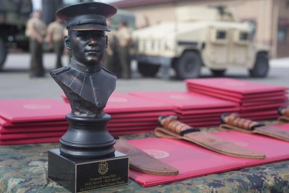 ANGLICO Marines Graduate Basic Course