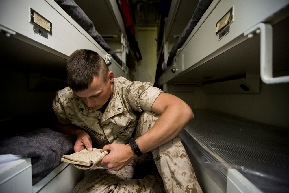 2/6 Marine during exercise Bold Alligator 2014
