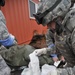Joint exercise highlights medical capabilities