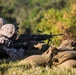 Rounds down range during combat training