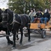 Caisson Haunted Hayride and Stable