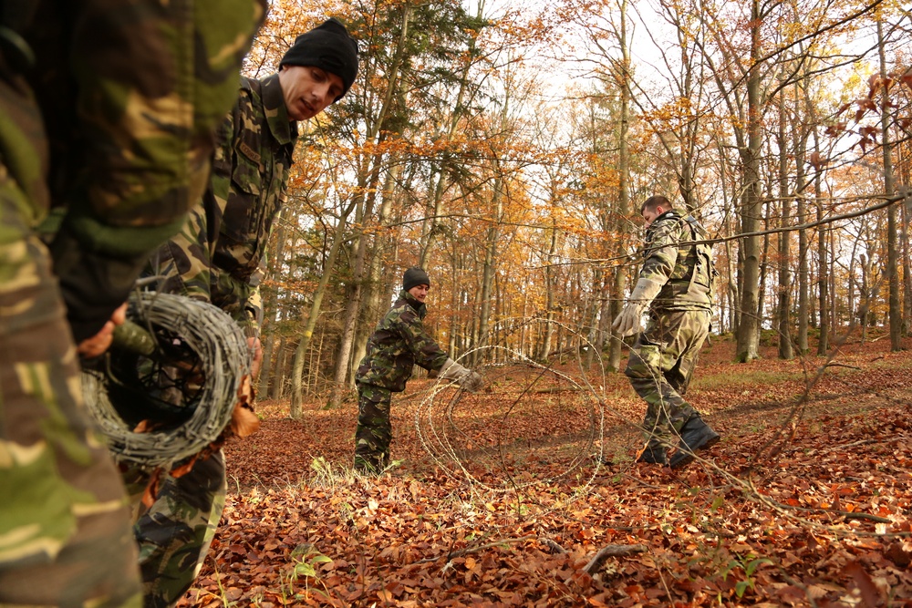 Combined Resolve III