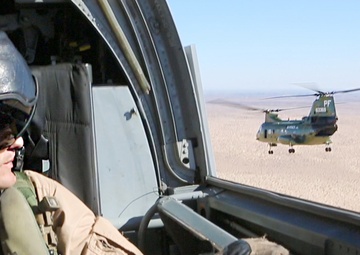 Purple Foxes retire last 'Phrog'