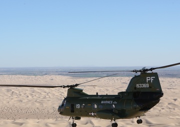 Purple Foxes retire last 'Phrog'