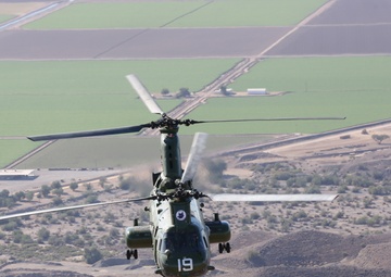 Purple Foxes retire last 'Phrog'