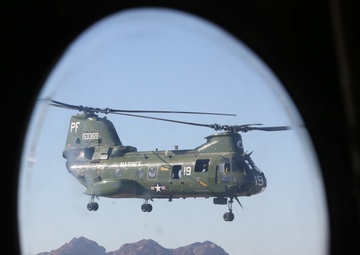 Purple Foxes retire last 'Phrog'