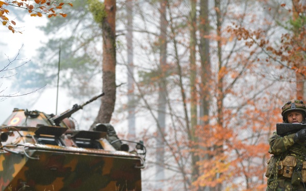 Combined Resolve III