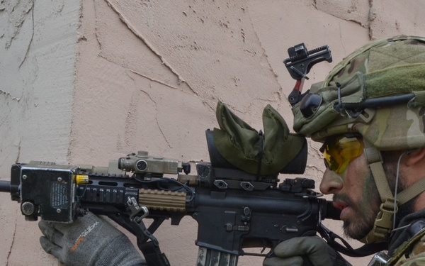 Combined Resolve III