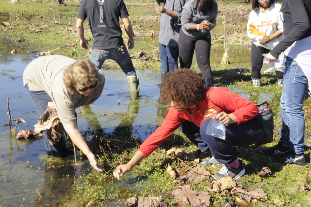 Environmental science students work the wetlands