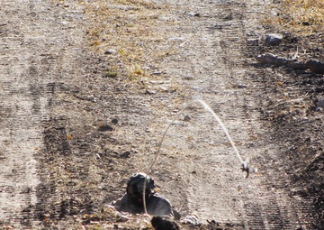 ‘Blue Babes’ clearing paths less than month after activation