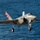 A gray stealth fighter jet, identifiable as an F-35C Lightning II, is captured in flight over open ocean water with its landing gear fully deployed. The aircraft appears to be in a landing approach configuration, likely preparing to land on an aircraft carrier. The tail fin features distinctive red and white markings, and the aircraft bears U.S. military insignia.