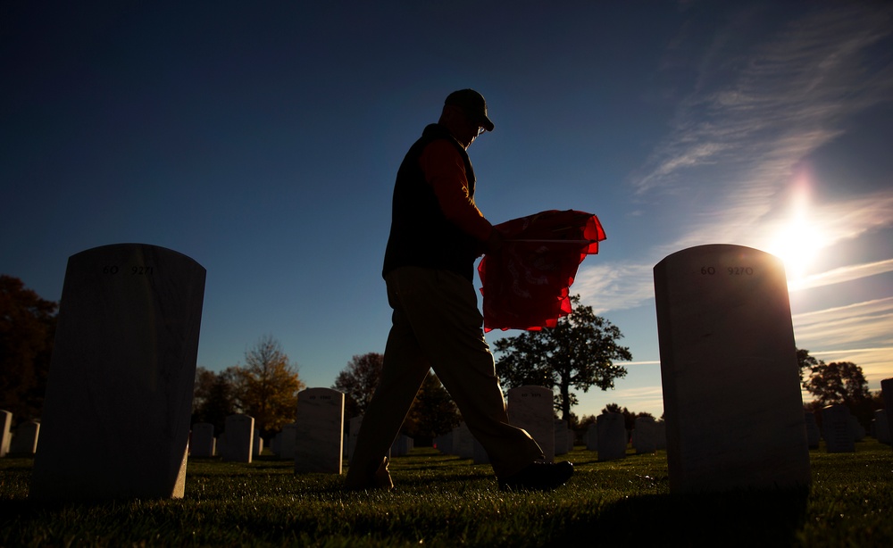 Marine Corps Flags at Arlington National Cemetery