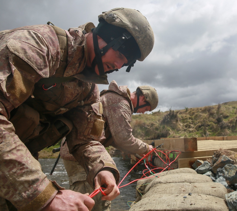 Troops repel enemy during Exercise Kiwi Koru 2014