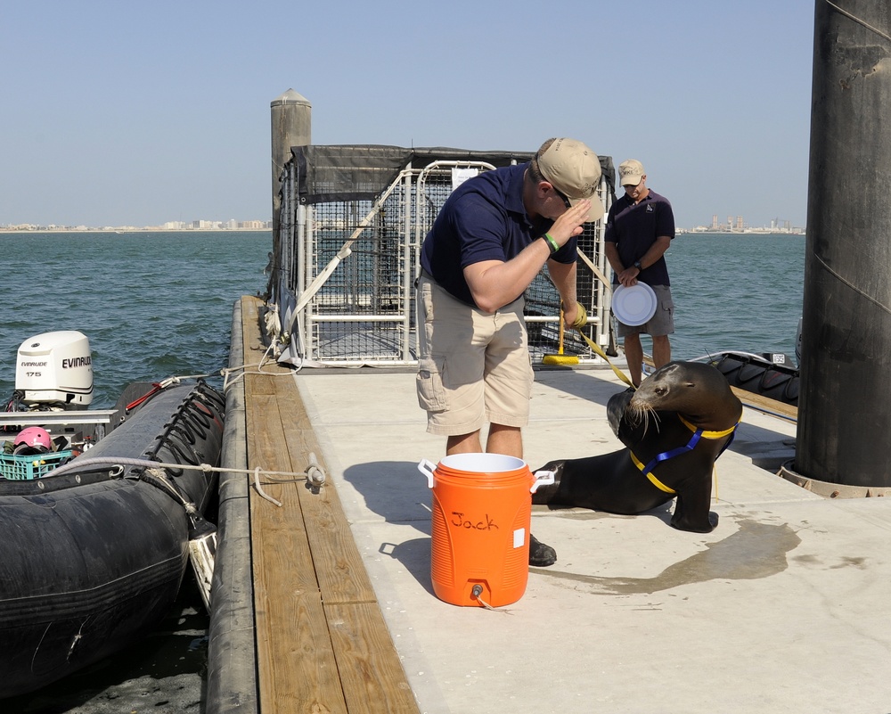 International Mine Countermeasures Exercise