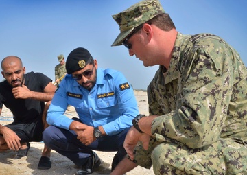 International Mine Countermeasures Exercise (IMCMEX), IMCMEX