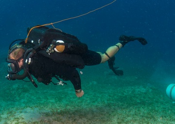Navy divers
