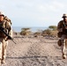 11th MEU Djibouti Sustainment Training: Fox Season