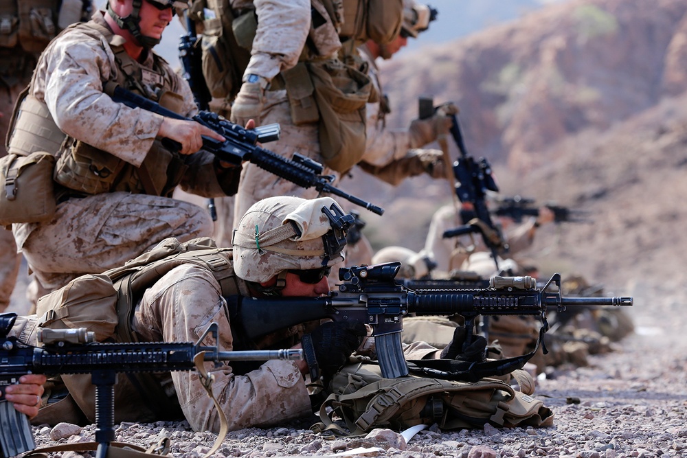 11th MEU Djibouti Sustainment Training: Fox Season