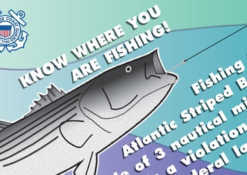 Striped Bass 2014