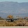 Naval Air Station Fallon TDY