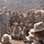 11th MEU Djibouti Sustainment Training: 239th USMC Birthday
