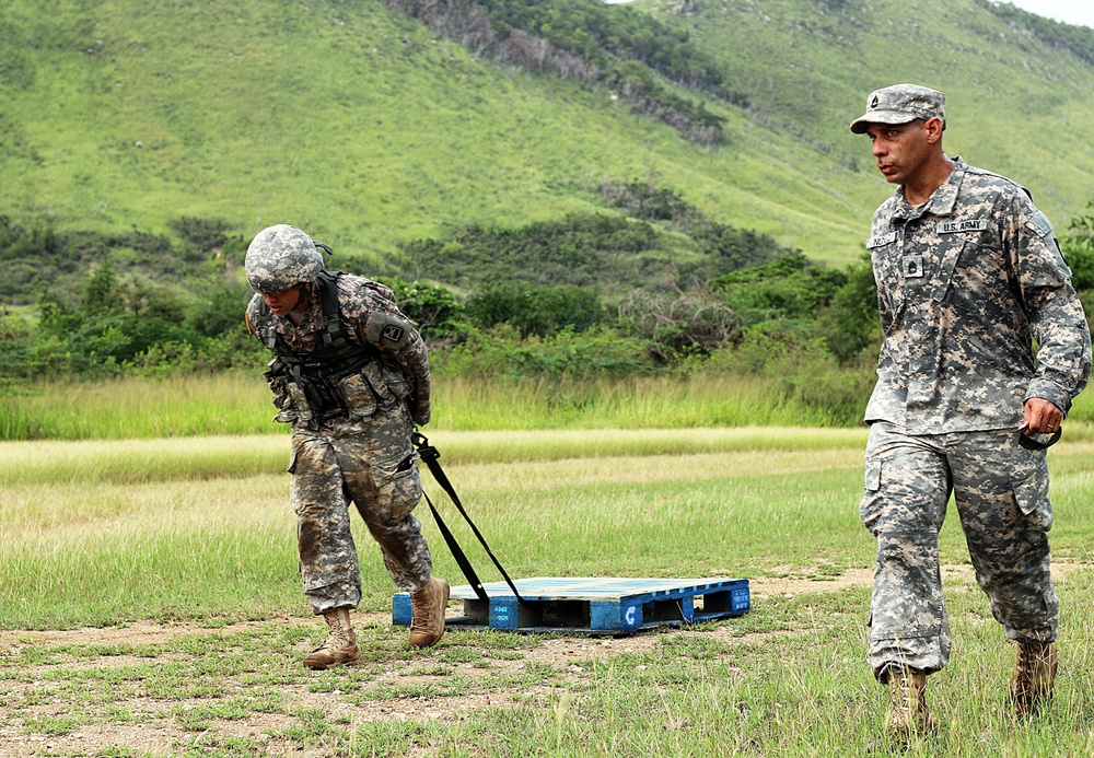 Local Best Warrior Competition