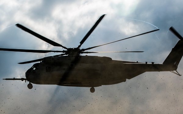 Military Working Dogs play vital role locating Marines