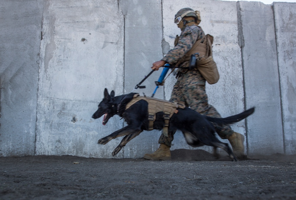 15th MEU Marines complete security element course