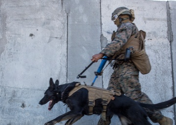 15th MEU Marines complete security element course