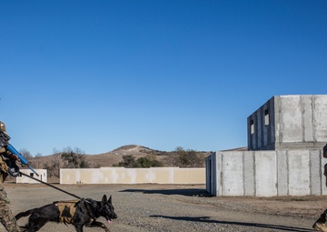 15th MEU Marines complete security element course