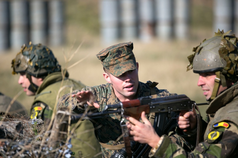 Marines, Romanian soldiers build partnership and cohesion during Platinum Lynx 15.3