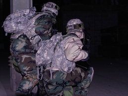 Searching in shadows