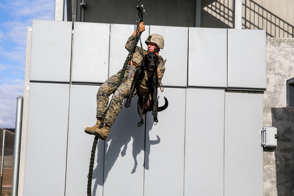 15th MEU Marines conduct fast rope training