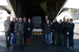 Coast Guard transports orphaned sea lion
