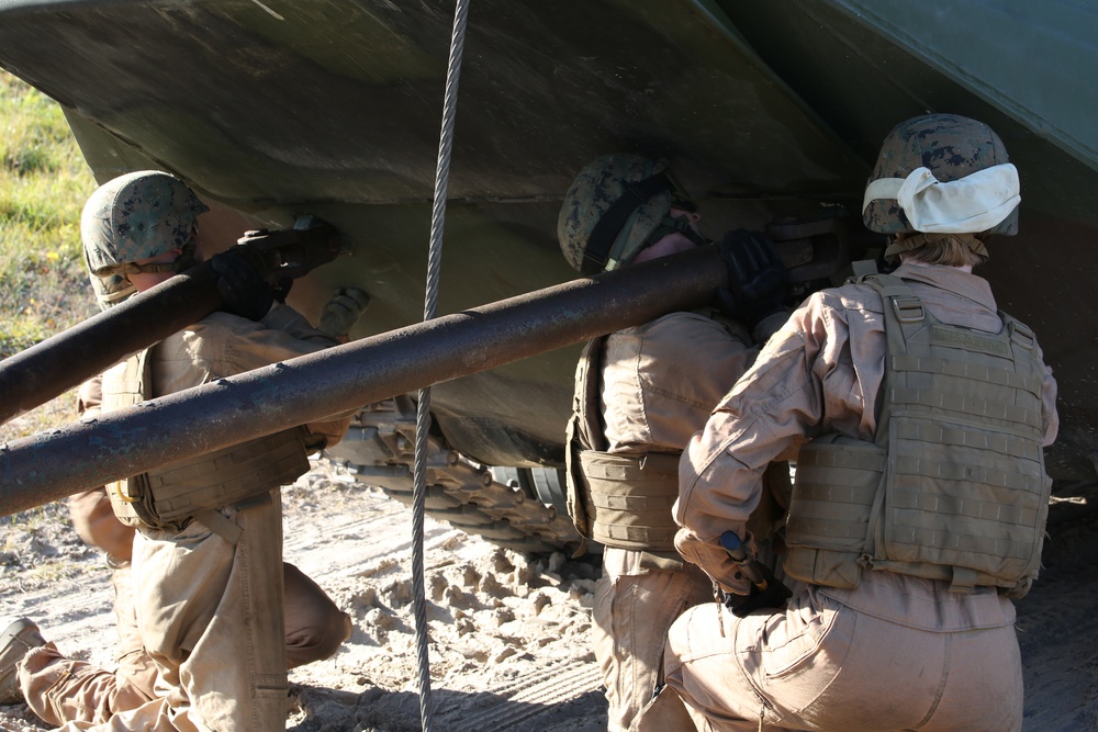 Integrated Task Force Marines get hands-on with AAVs