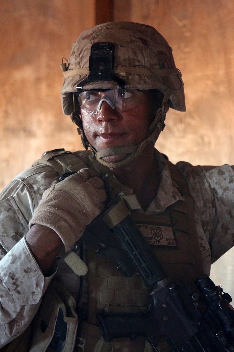 CAAT Blue raids simulated desert objective