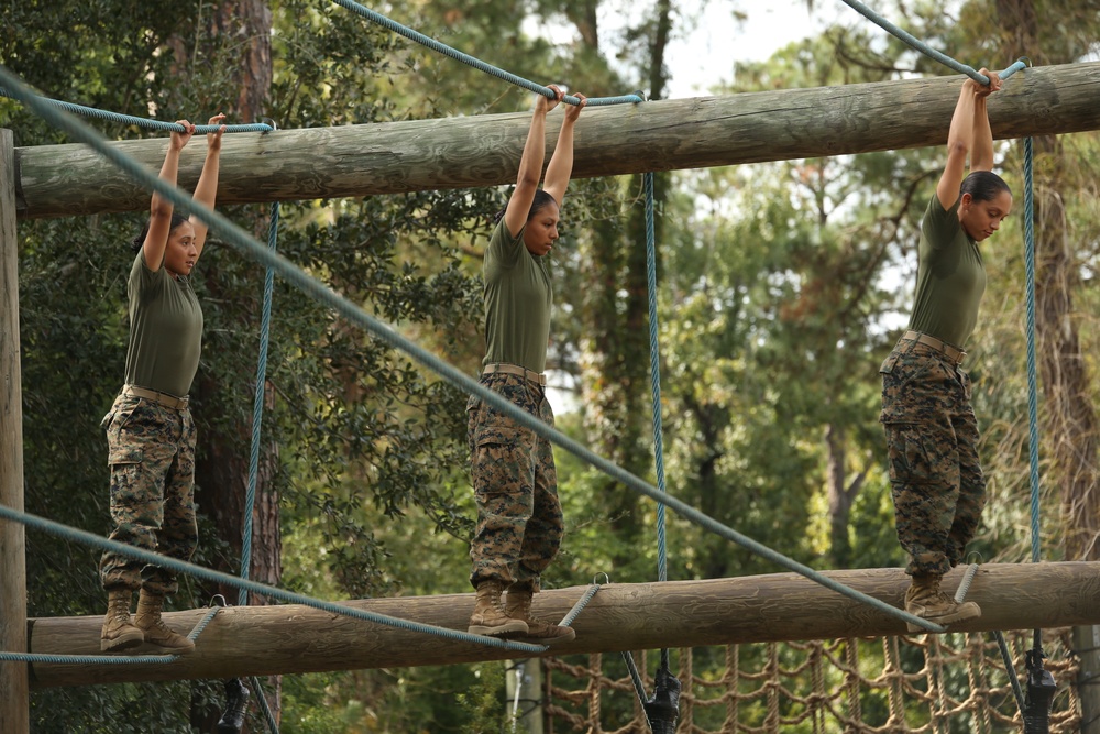 Photo Gallery: Parris Island recruits tackle Confidence Course in journey for title Marine