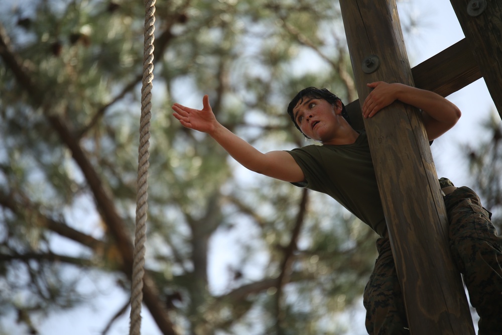 Photo Gallery: Parris Island recruits tackle Confidence Course in journey for title Marine