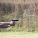 Combat Shooting Team hits center mass during competition