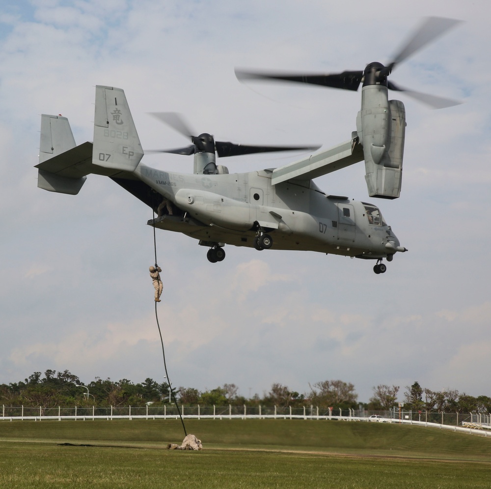 3rd LE Bn Fast-ropes with dogs