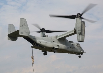 3rd LE Bn Fast-ropes with dogs