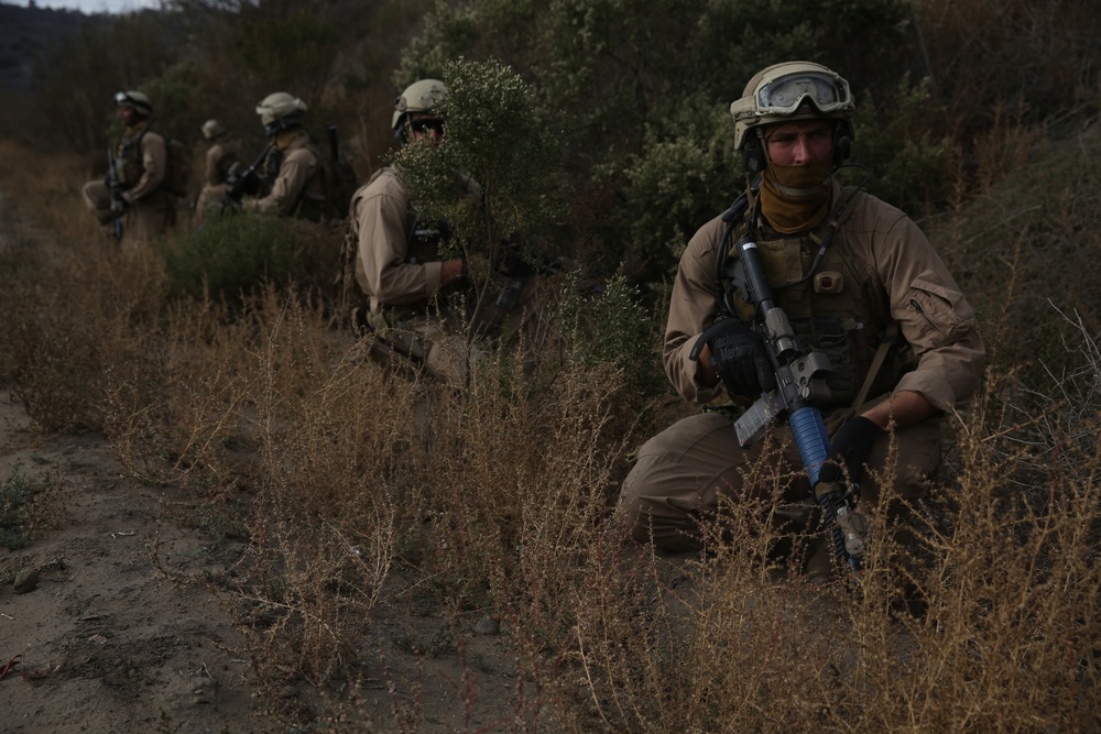 15th MEU Marines conduct interoperability training