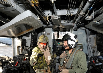 Exercise Bold Alligator 2014
