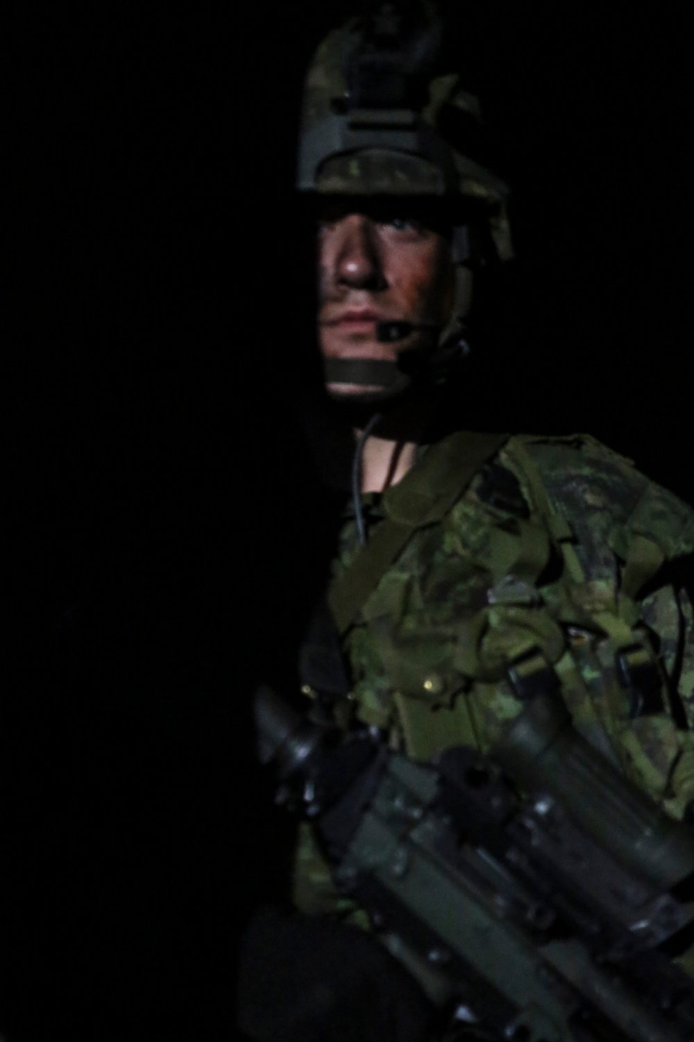 International forces simulate raids during Bold Alligator 2014