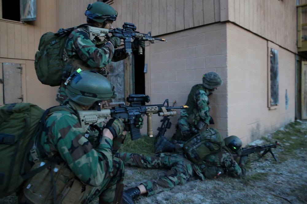 International forces simulate raids during Bold Alligator 2014