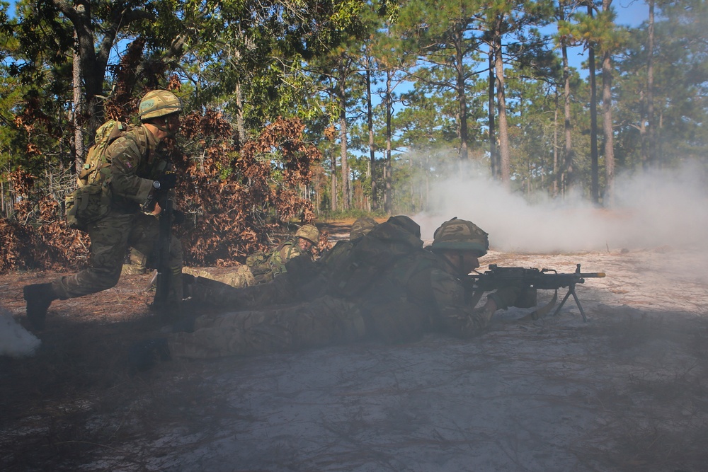 International forces simulate raids during Bold Alligator 2014